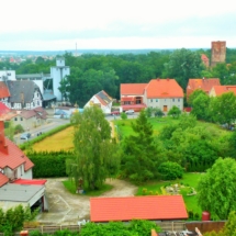 P1480341 (2)