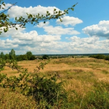 widok